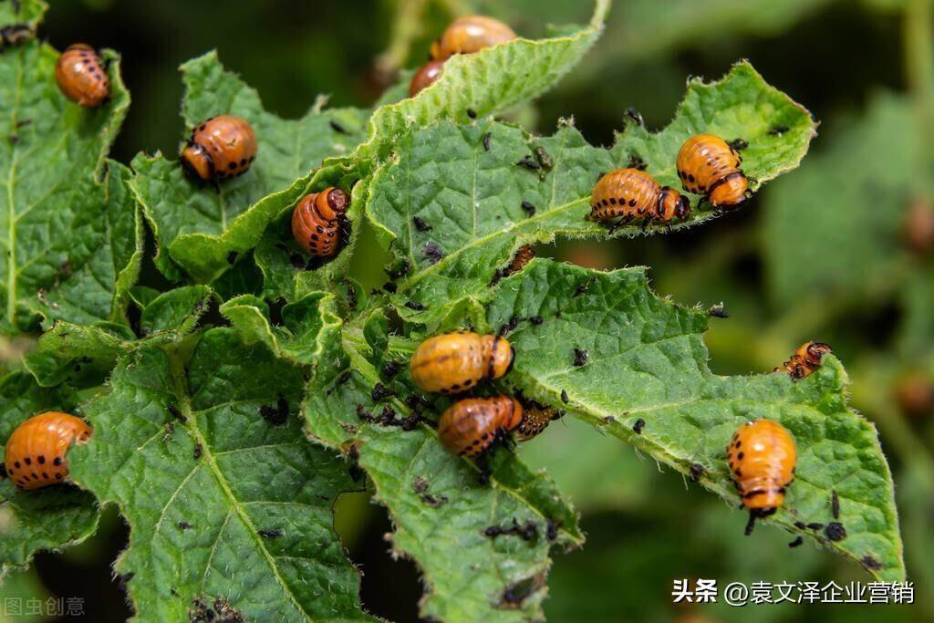 企业营销需要了解有独特需求的客户。