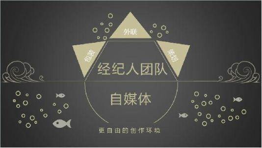 从零开始运营自媒体到专业团队。