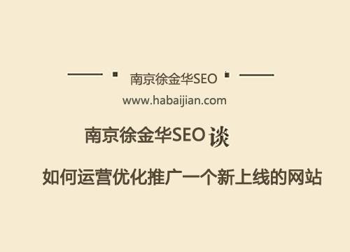 如何运营优化推广一个新上线的网站（徐金华seo技术博客）。