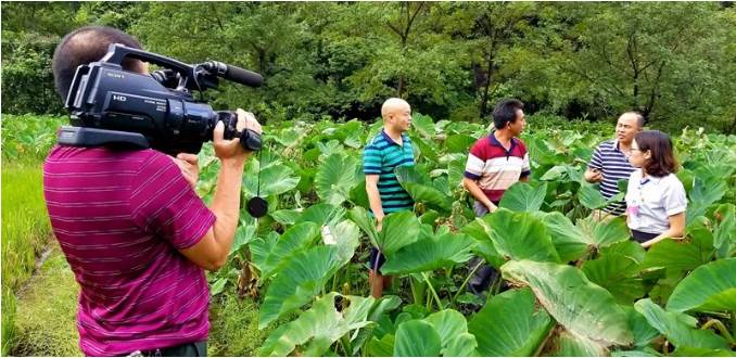 广西灌阳这位“80后”第一书记。