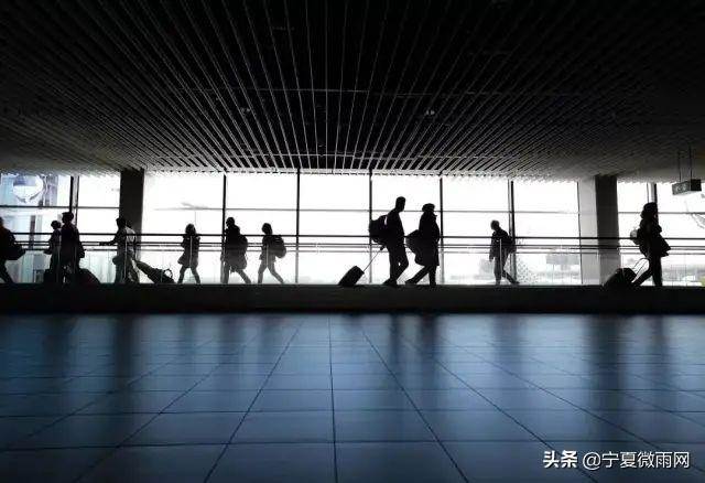 酒旅行业五一不知怎样营销（白酒营销策划方案）