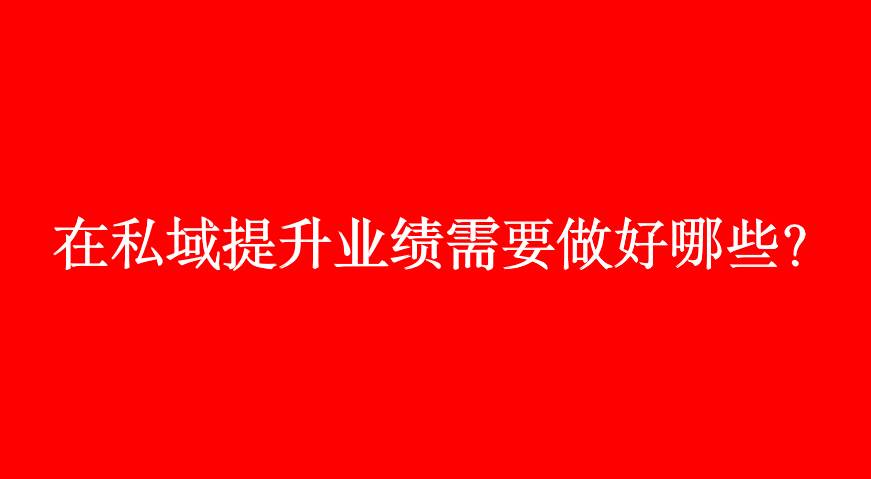 骆艺：在私域提升业绩需要做好哪些（针对销售业绩提升方案名称）