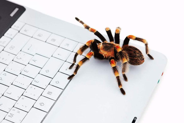 如发现蜘蛛爬行网站不顺畅，首当其冲是清理网站陷阱。